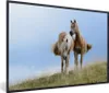 MuchoWow® Gerahmtes Poster Haflinger Pferde auf der Wiese Produktbild-Vorschau 1