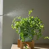 Esschert Design Pflanzensprüher klar; TG72 Produktbild-Vorschau 4