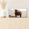 MuchoWow® - Leinwandbilder - Schottische Highlander - Tiere Produktbild-Vorschau 6