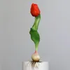 6er Set künstliche Tulpen mit Zwiebel rot grün H. 25cm DPI Produktbild-Vorschau 1