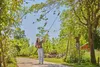 Gardena nożyce do gałęzi Pro L 12081-20 Podgląd zdjęcia produktu 9