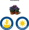 5x Blumentopf Säulentopf Pflanzturm Hochbeet mit Produktbild-Vorschau 5