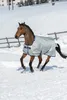 BUCAS Power Turnout 0g light Regendecke Weidedecke , Produktbild-Vorschau 14