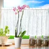A pink orchid in a white pot sits on a wooden surface in front of a window with white lace curtains. Anteprima dell’immagine prodotto