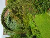 Rosenbogen HOLLAND Rund Gesamtbreite 2,60 m Edelrost Produktbild-Vorschau 11