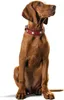 Hunter 42050, Hund, Standardkragen, Braun, Rot, Leder, Produktbild-Vorschau 14