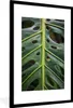 MuchoWow® Gerahmtes Poster Musterblatt mit Löchern 60x90 cm Produktbild-Vorschau 1