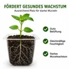 12-Zellen Anzuchtplatte, wiederverwendbar,Mini-Anzuchtbox, Produktbild-Vorschau 5