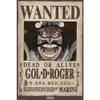 Poster One Piece Wanted Gol .D. Roger 61x91.5cm Anteprima dell’immagine prodotto 3