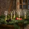 Four snowflake-shaped LED lights are placed among pine branches, with two red apples and pinecones. Podgląd zdjęcia produktu