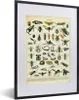 MuchoWow® Gerahmtes Poster Insekten - Tiere - Jahrgang Produktbild-Vorschau 1