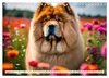 Chow Chow - der Löwenkopfhund (Wandkalender 2027 DIN A4 Produktbild-Vorschau 10