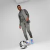 Puma Team Cup Trainingsjacke Herren - Grau Produktbild-Vorschau 6
