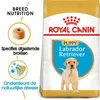 Royal Canin Labrador Retriever Junior - 3 kg Produktbild-Vorschau 1