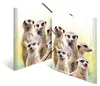 HERMA Eckspannermappe Exotische Tiere A4 Erdmännchentruppe Produktbild-Vorschau 3