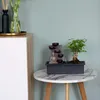 Bonsaibaume - Bonsai - Höhe 25-35cm - ⌀29cm Produktbild-Vorschau 6