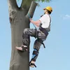 Ramponi per arrampicata sugli alberi, attrezzatura per Anteprima dell’immagine prodotto 8