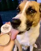 Hunde-Einkaufsset BASIC 3 Produkte | Shampoo + Zahnpasta + Produktbild-Vorschau 2