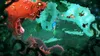 Rayman Origins Produktbild-Vorschau 3
