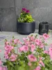 HEOS DLHEN400 runder Blumentopf mit Einsatz | Anthrazit Produktbild-Vorschau 9