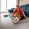 A woman and her dog relax on the floor while a robot vacuum cleans the room. Náhled obrázku produktu