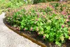 Wovar - Acier corten bordures de jardin en acier corten 16 Voir les images du produit 5