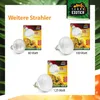Reptilienlampe D3 UV Heat Spot 80 Watt selbstballastierend Produktbild-Vorschau 8