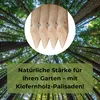 TIMBERMIK ø 8cm 2-Pack Spitze Holzpalisaden Länge: 240 cm Produktbild-Vorschau 9