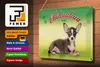 Blechschild Hund 30x20cm Chihuahua Mexiko Wanddeko Produktbild-Vorschau 4
