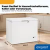 Gefriertruhe | 198 l | 13,0 kg/24h Gefriervermögen | 41,00 Produktbild-Vorschau 3