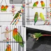 WYCTIN Cage pour oiseaux Volière pour oiseaux avec support Voir les images du produit 3