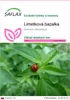 SAFLAX - Limetková bazalka - Ocimum citriodorum - 200 Náhľad obrázku produktu 1