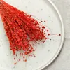 Flachs Getrocknete - (Leinen) - Orange Produktbild-Vorschau 6