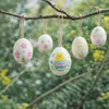 12x Echte ausgeblasene Enteneier weiß Natur Ostereier Deko Produktbild-Vorschau 6