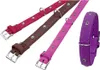 Karlie Art Buffalo Deco Halsband - Rot - 50cm / 30mm Produktbild-Vorschau 2