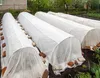Weißes Gartenflies 150g/m2 mit UV 5m x 1.6m Produktbild-Vorschau 13