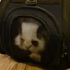 Trasportino - borsa per cani/gatti - nero Anteprima dell’immagine prodotto 16