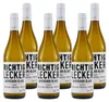Richtig Lecker Sauvignon Blanc -trocken- (6 x 0,75L) Produktbild-Vorschau 1