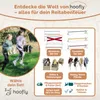 Hoofly Hobby Horse Cavaletti Set de 3 pièces - obstacles en Voir les images du produit 5