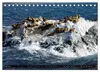 Argentinien - Von Iguazu bis Feuerland (Tischkalender 2027 Produktbild-Vorschau 15
