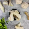 5 kg Lyra Pet® Kaninchenpfoten mit Fell Produktbild-Vorschau 7