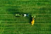 Muralo XXL Vlies FOTOTAPETE FELD Traktor Aussicht Produktbild-Vorschau 2