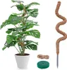 Moosstab für Monstera - 120cm Biegsame Pflanzenstütze für Produktbild-Vorschau 1
