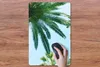 MuchoWow® Mauspad Mousepad Palmwedel - Himmel - Sommer - Produktbild-Vorschau 3
