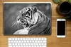 MuchoWow® Laptop Aufkleber Sticker Cover Tiger - Wild - Produktbild-Vorschau 2