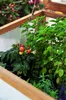 Greenspot Vintage Vyvýšená Posteľ s Kapotou 110x55x120cm Náhľad obrázku produktu 12