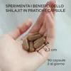 Capsule di Shilajit Aavalabs | 50% di acido fulvico | Anteprima dell’immagine prodotto 9