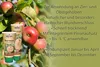 NATUREN®  Wund-Balsam 150g Produktbild-Vorschau 10