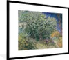 MuchoWow® MuchoWow® Gerahmtes Poster Fliederbusch - Vincent Produktbild-Vorschau 1