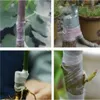 BANDE POUR LA RÉCOLTE DES ARBRES FRUITS Film 100m x 3cm Voir les images du produit 7